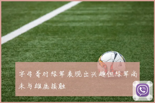 字母哥对绿军表现出兴趣但绿军尚未与雄鹿接触