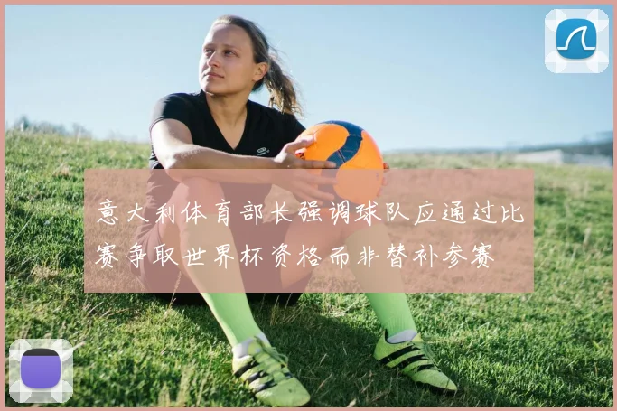 意大利体育部长强调球队应通过比赛争取世界杯资格而非替补参赛