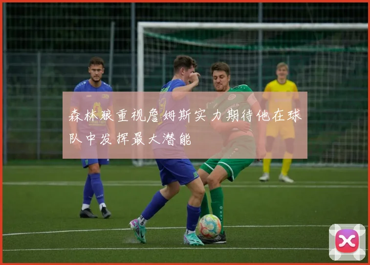 森林狼重视詹姆斯实力期待他在球队中发挥最大潜能