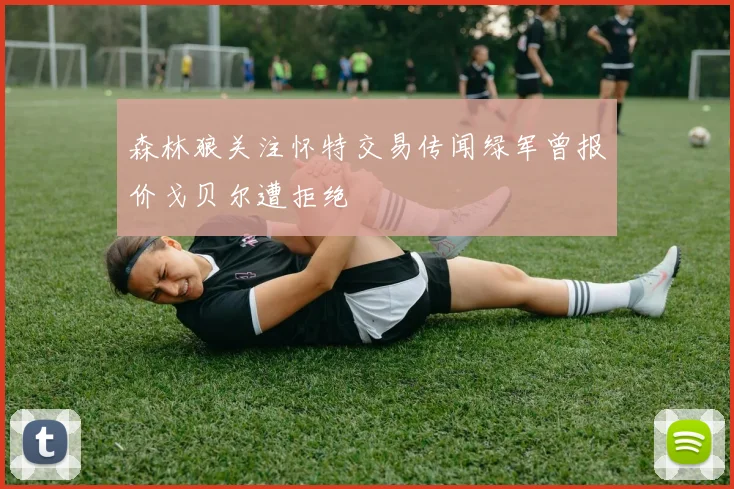 森林狼关注怀特交易传闻绿军曾报价戈贝尔遭拒绝